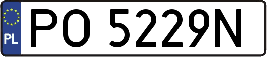 PO5229N