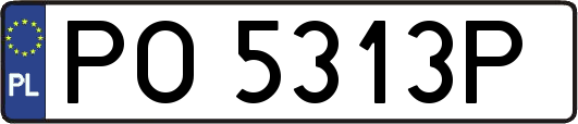 PO5313P