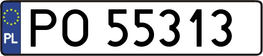 PO55313