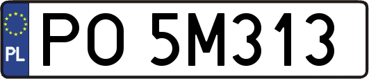 PO5M313