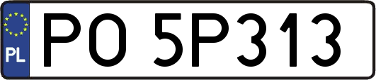PO5P313