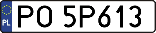 PO5P613