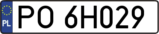 PO6H029