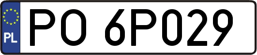 PO6P029