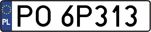 PO6P313