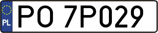 PO7P029