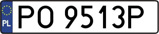 PO9513P