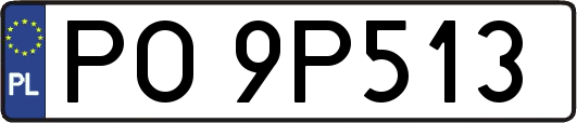 PO9P513