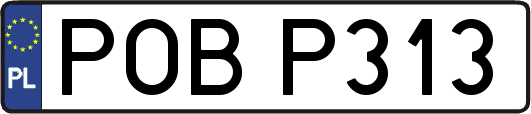 POBP313