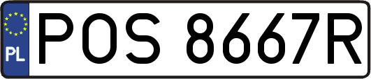 POS8667R