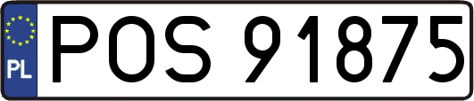 POS91875
