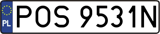 POS9531N