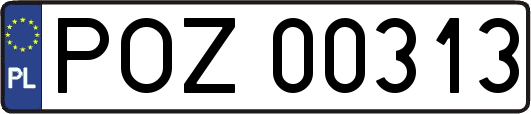 POZ00313