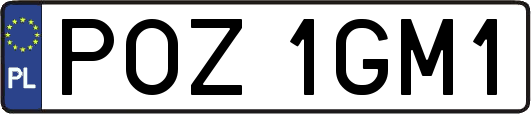 POZ1GM1