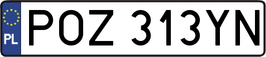 POZ313YN