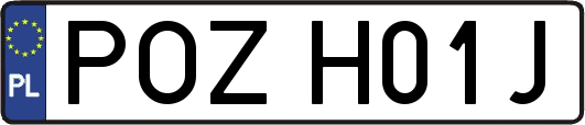 POZH01J