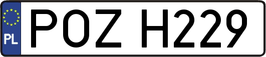 POZH229