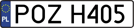 POZH405