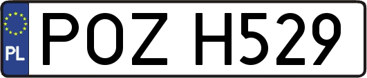 POZH529