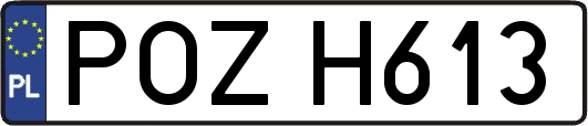 POZH613