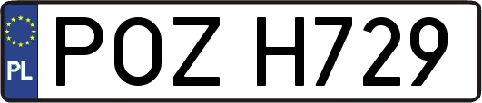 POZH729