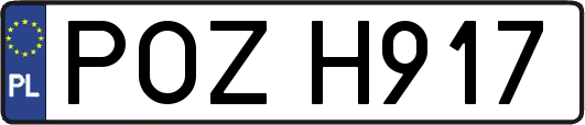 POZH917