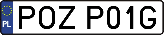 POZP01G
