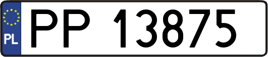 PP13875