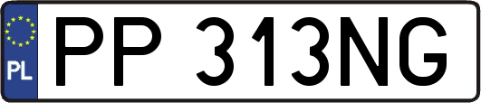 PP313NG