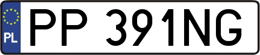 PP391NG