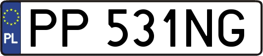 PP531NG