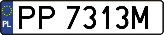 PP7313M