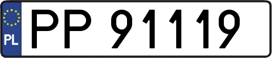 PP91119