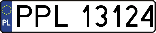 PPL13124