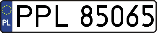 PPL85065