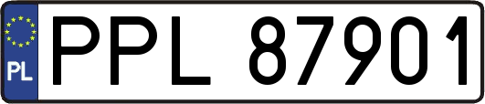 PPL87901