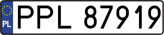 PPL87919