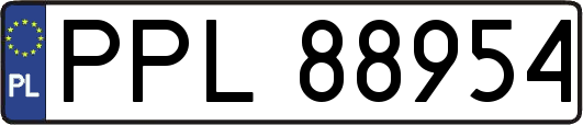PPL88954