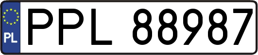 PPL88987