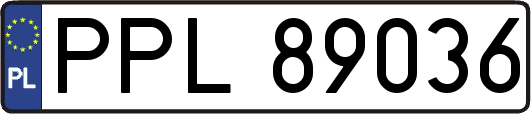 PPL89036
