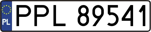 PPL89541