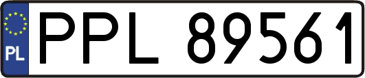 PPL89561