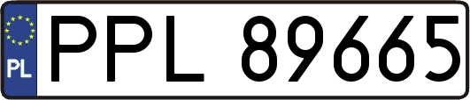 PPL89665