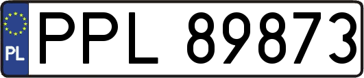 PPL89873