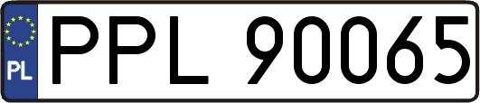 PPL90065