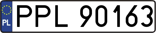 PPL90163