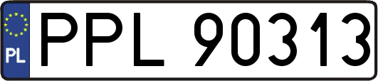 PPL90313