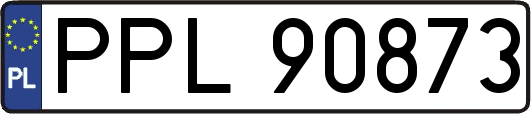 PPL90873
