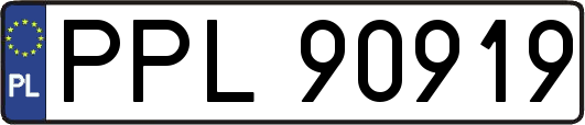 PPL90919