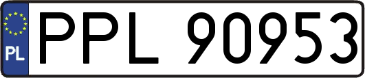PPL90953